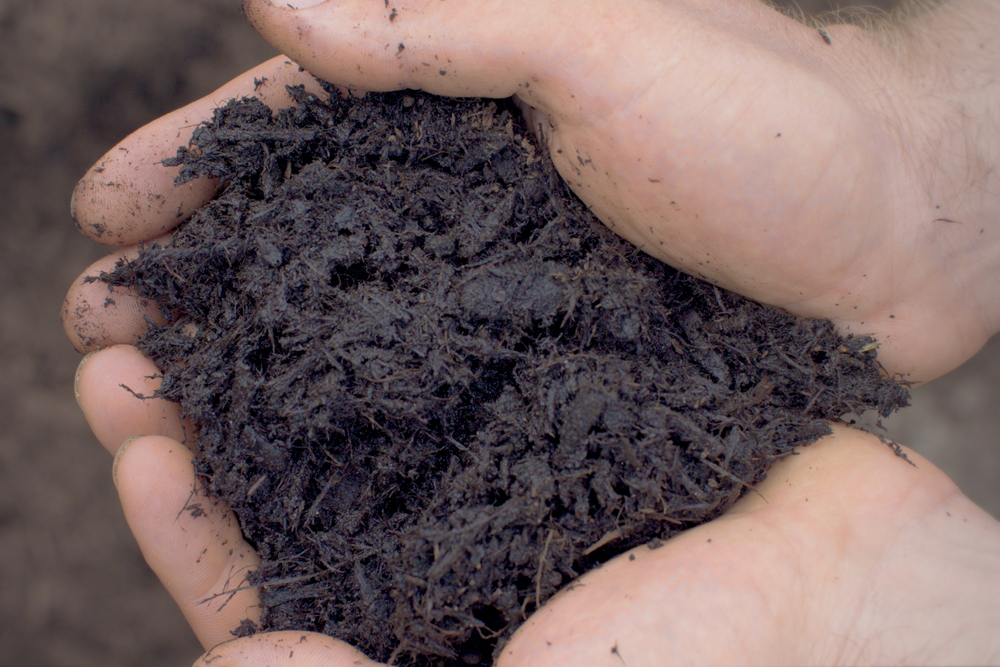 Triple Ground Mulch in Central PA